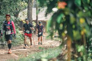 BIB: 
                            <button type="button" onclick="openModal(25276109)" class="btn btn-primary btn-sm float-right btn-popup" data-toggle="modal" data-target=".modal-high-quality">
                        <i class="fas fa-shopping-cart"></i> Add to Cart
                    </button>
                                            <button type="button" onclick="isThisMe(25276109, true)" class="btn btn-success btn-sm float-right btn-popup btn-isme hidden" data-toggle="tooltip" data-placement="bottom" title="นี่คือรูปของคุณใช่ไหม คลิกที่นี่เพื่อเอาเข้าอัลบั้ม">
                        <i class="fas fa-plus"></i> Add to album
                    </button>
                    <button type="button" onclick="isThisMe(25276109, false)" class="btn btn-warning btn-sm float-right btn-popup btn-isnotme hidden">
                        <i class="fas fa-ban"></i> Remove from album
                    </button>